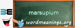 WordMeaning blackboard for marsupium